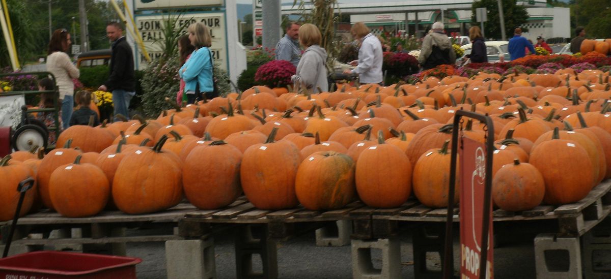 15th Annual Fall Festival Free Community Event 773 Quaker Rd Queensbury September 18 2021 Allevents In Hicks Nursery Fall Festival 2022