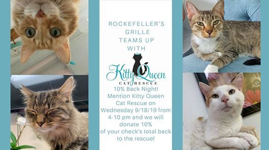 Kitty Queen Cat Rescue 10 Back Night At Rockefeller S Grille Mc