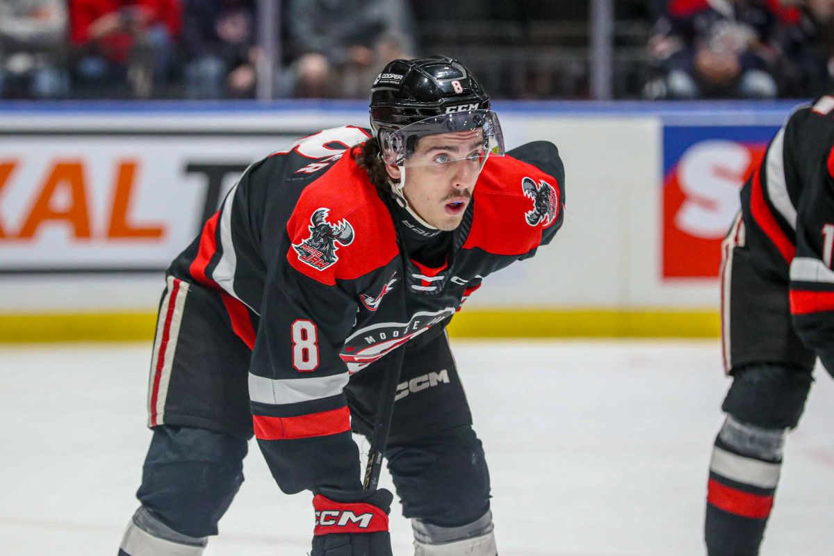 Moose Jaw Warriors vs. Calgary Hitmen, 4 November | Event in Moose Jaw | AllEvents