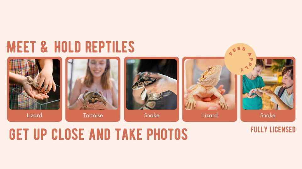 Meet & hold reptiles with Bristol Reptile Encounters, Clevedon