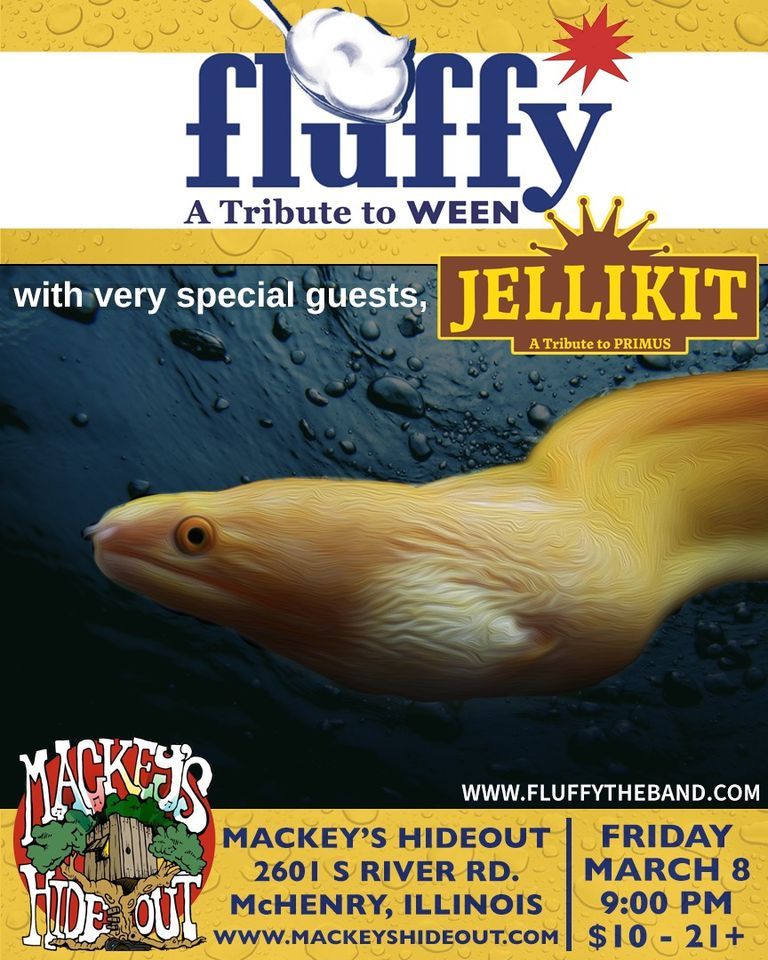 Fluffy A Tribute To Ween Mackeys, Mackey's Hideout, Mchenry, March 8
