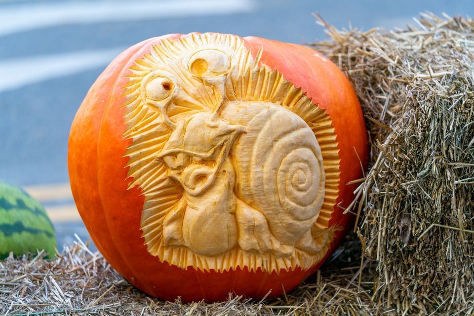 Operation Pumpkin 2022, High St, Hamilton, OH 45011, United States Operation Pumpkin 2022, High St, Hamilton, OH 45011, United States