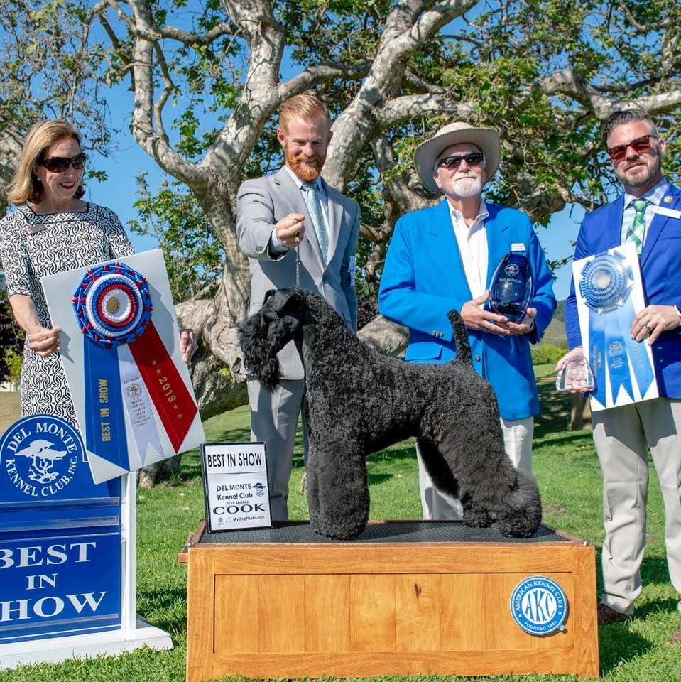 Del Monte Kennel Club AllBreed Dog Show, July 15 to July 18 Online