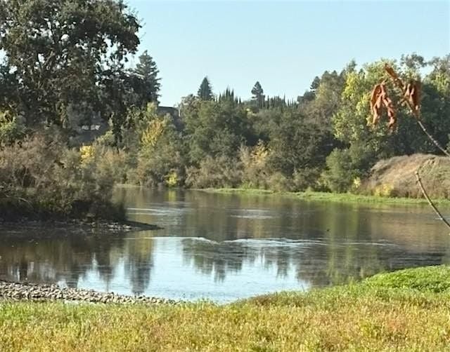 Sacramento Chapter - Paint/Sculpt-Out at William B Pond Recreation Area, 25 April | Event in Carmichael | AllEvents