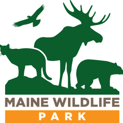 Maine Wildlife Park