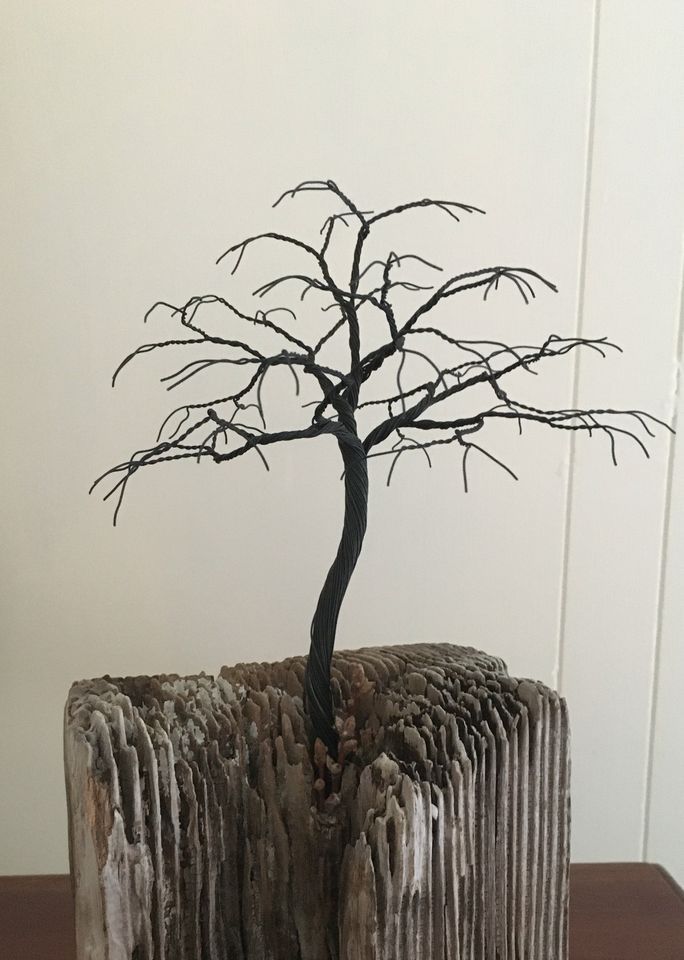 Sculptured trees in winter w. Lisa Locke, Anchorage reMADE, 11 March