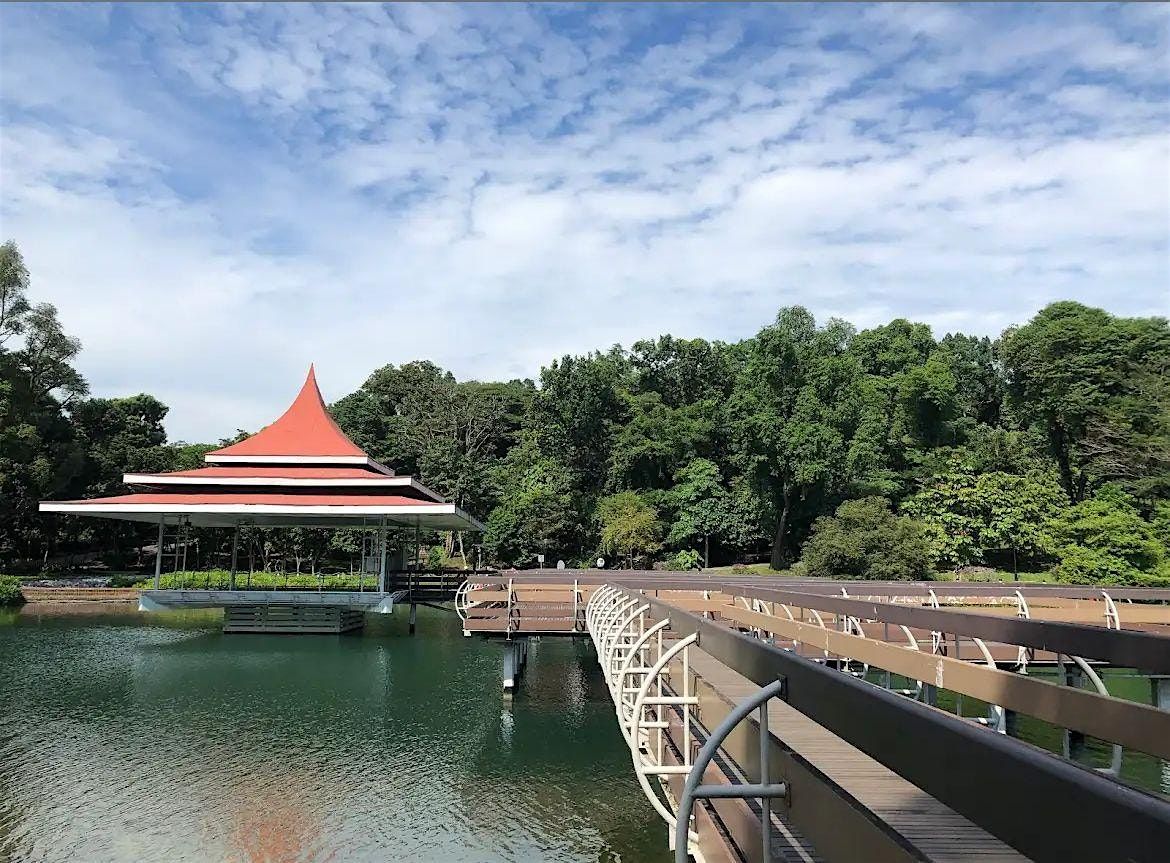 Mindful Morning Walk @ MacRitchie Reservoir | Event in Toa Payoh | AllEvents