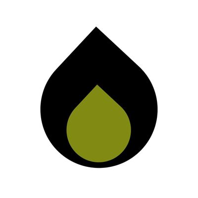 Wild Ember Studio