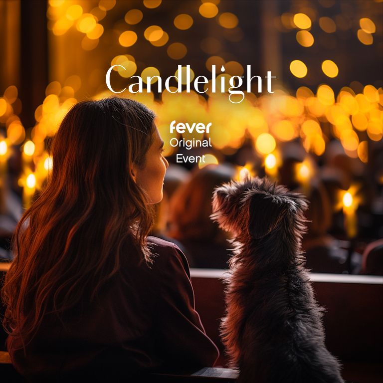 Candlelight Paws A DogFriendly Classical Concert, Jungle Island