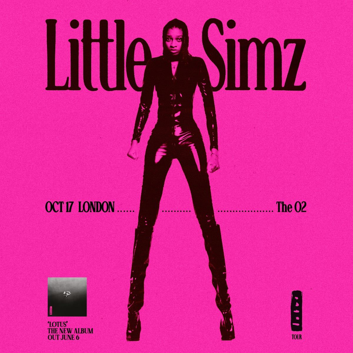 Little Simz London Tickets, 17 October | Event in London | AllEvents