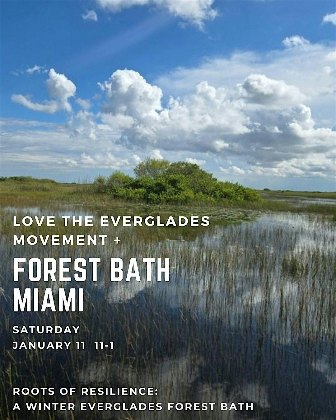 Into The Quiet: A Tree Island Forest Bath, 13 December | Event in Miami | AllEvents