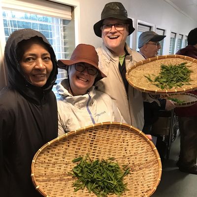 Debbie Raab, Certified Tea Specialist by the Specialty Tea Institute, US Tea Assoc. logo