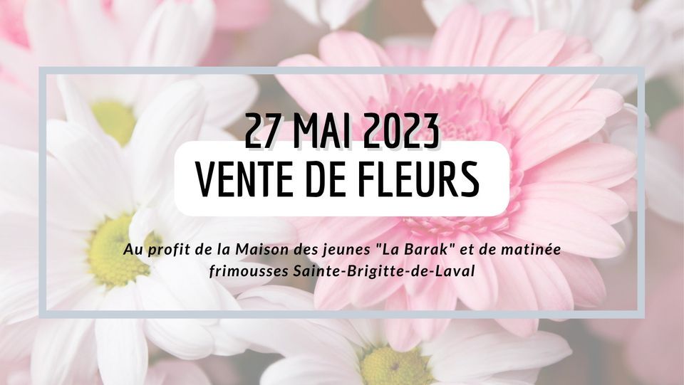 Vente de fleurs 2023, 8 Rue de la Patinoire, SteBrigittedeLaval, QC