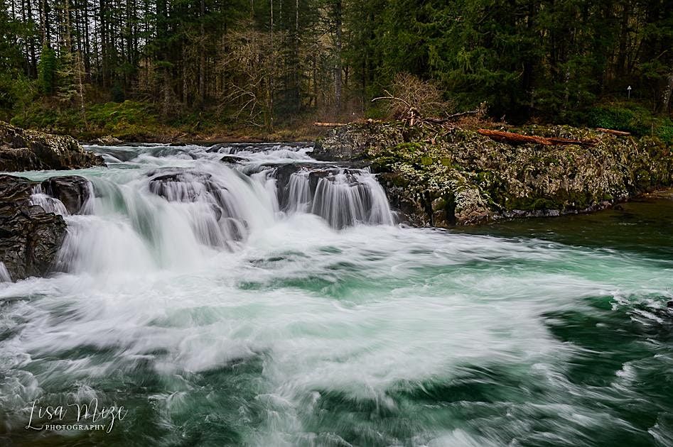 Two Day WOMEN ONLY Photography Workshop to Ridgefield Wildlife Refuge and W, 11 April | Event in Ridgefield