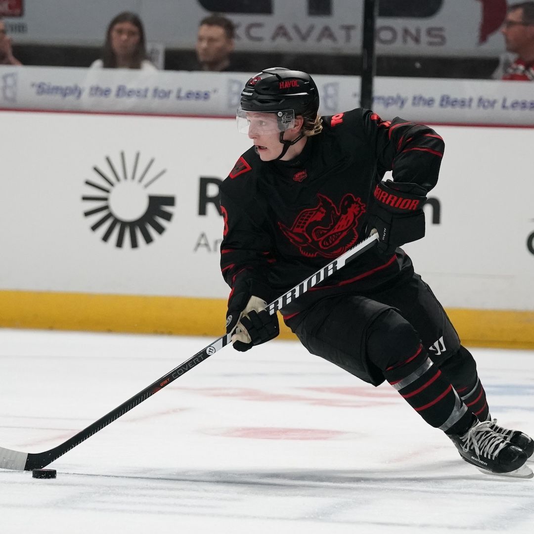 Knoxville Ice Bears at Huntsville Havoc at Propst Arena at the Von Braun Center, 30 December | Event in Huntsville