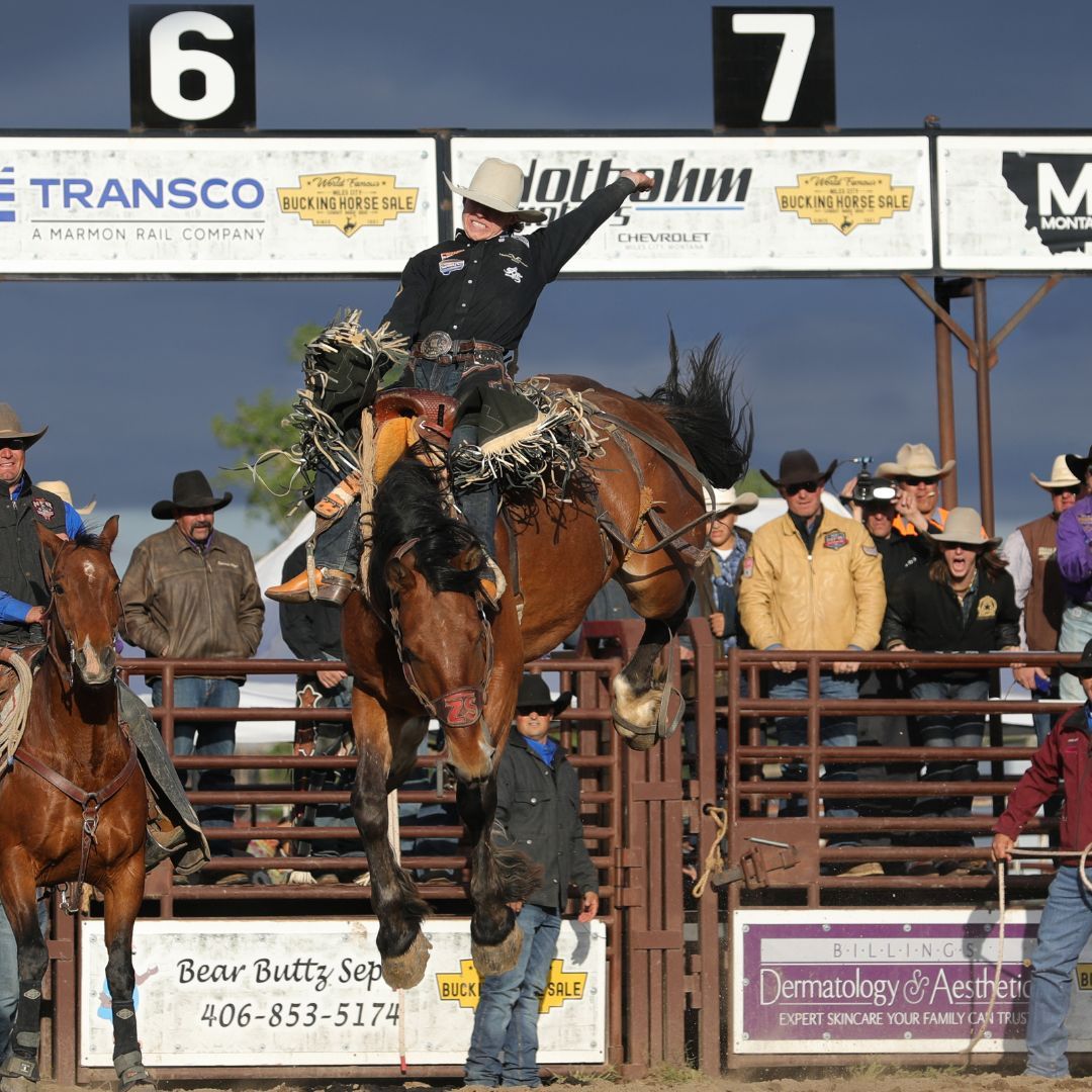 Miles City Bucking Horse Sale - Sunday at Eastern Montana Fairgrounds, 18 May | Event in Miles City | AllEvents