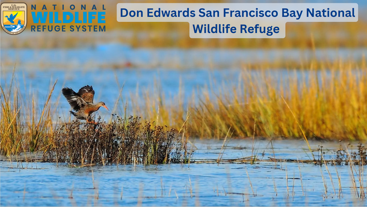 Donny Edwards, 28 June | Event in Fredericksburg | AllEvents