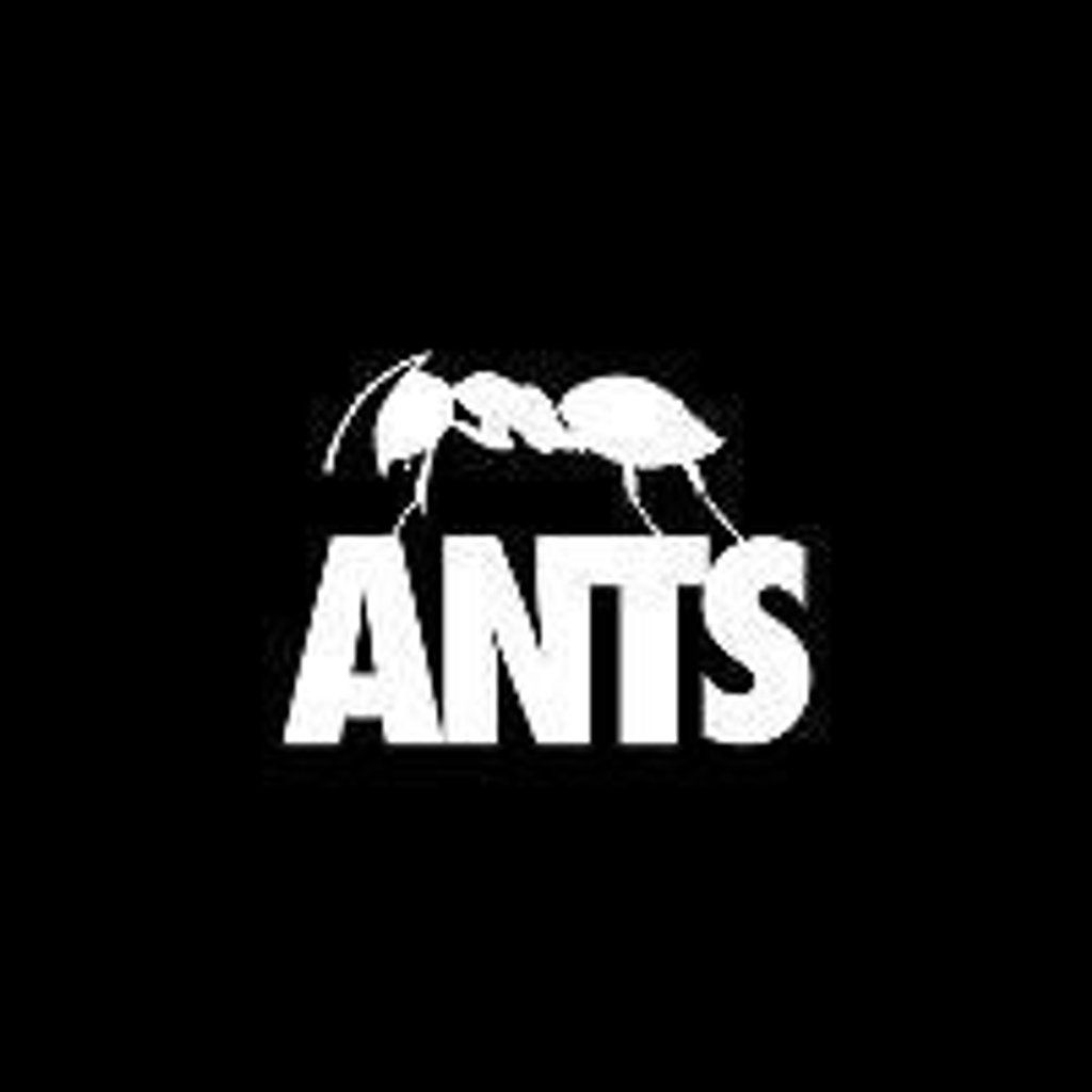 Ants, 27 September | Event in Ibiza | AllEvents