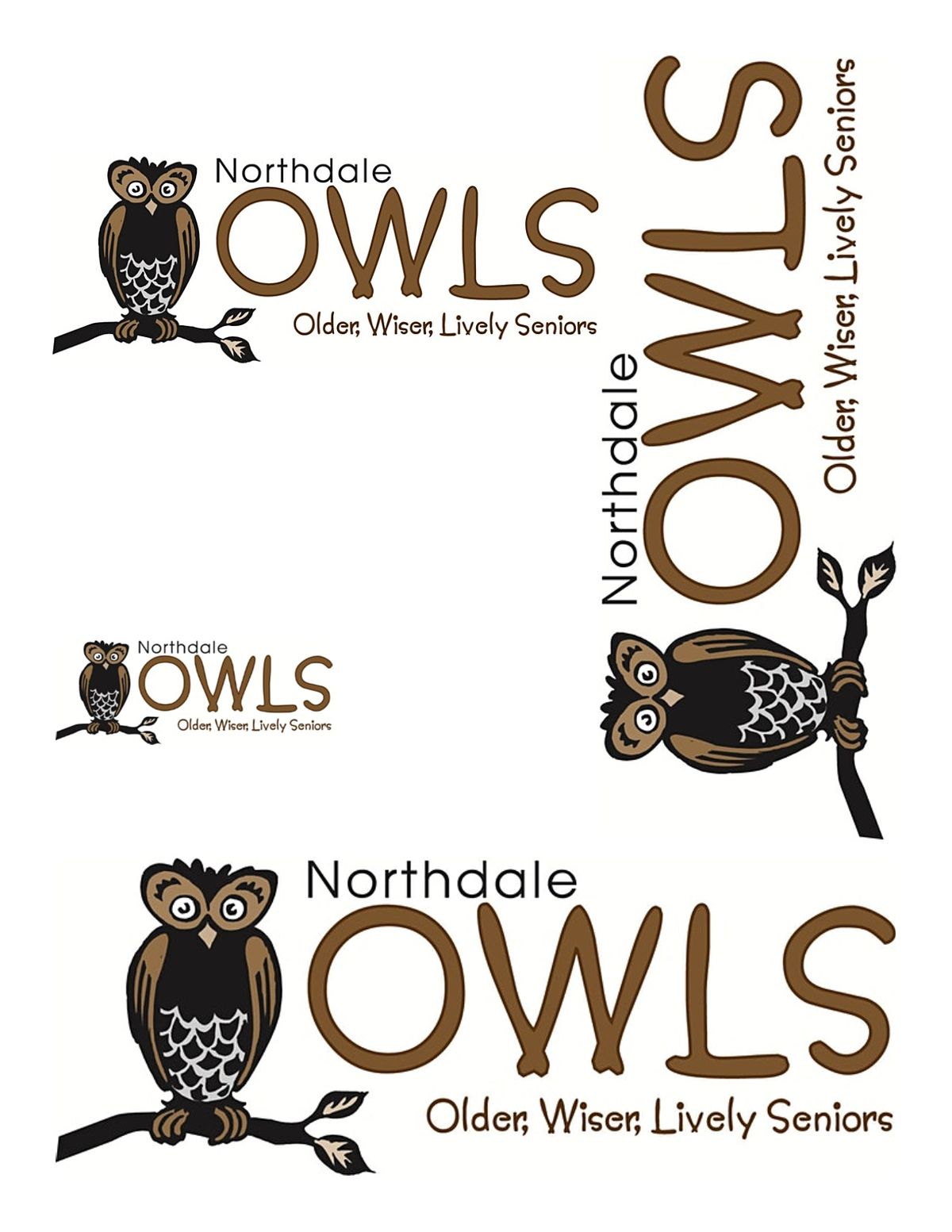 Northdale Owls Sponsorship Table Monthly 2022 Northdale Recreation Center Tampa January 4 To December 6 Allevents In Tampa Area Events January 2022