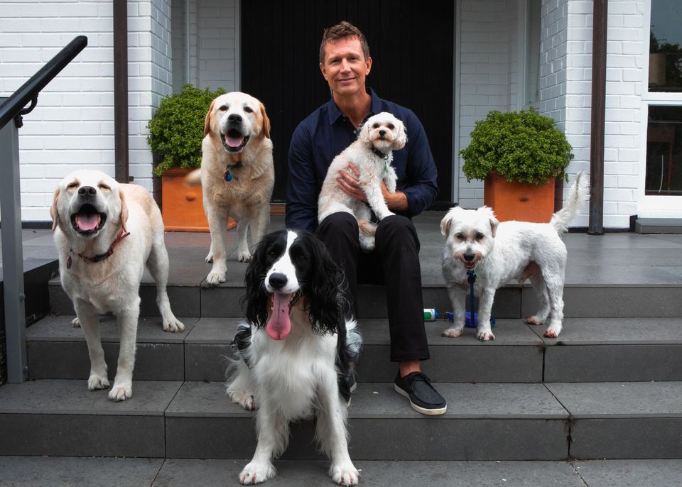 Geelong Dog Listening Weekend, Geelong Obedience Dog Club, 8 December