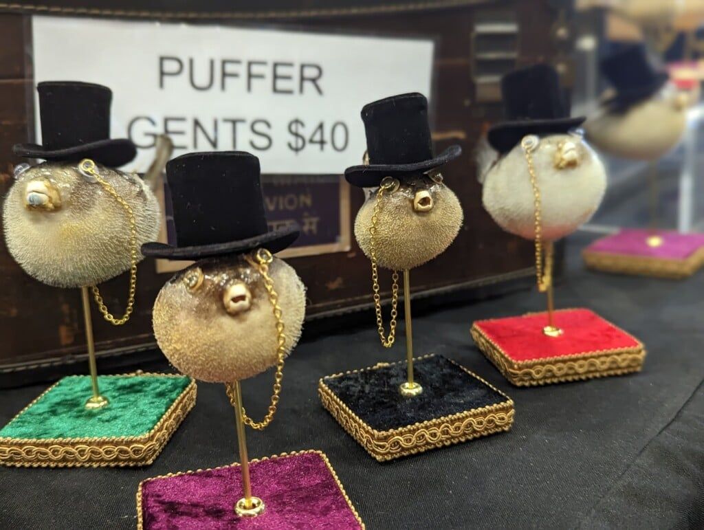 Oddities and Curiosities Expo, Seattle Convention Center, 19 October