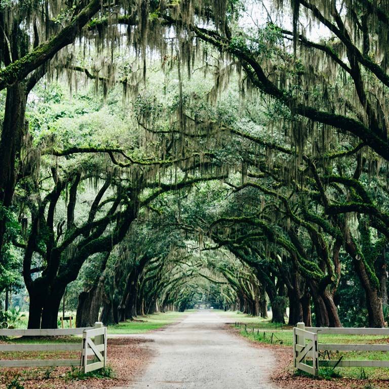 Ghosts of New Orleans: Night Walk | Event in New Orleans | AllEvents