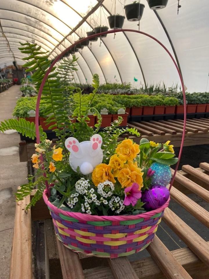 Hopping into Spring Easter Basket Planter Classes, Hanson's Garden