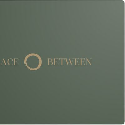 The Space Between logo