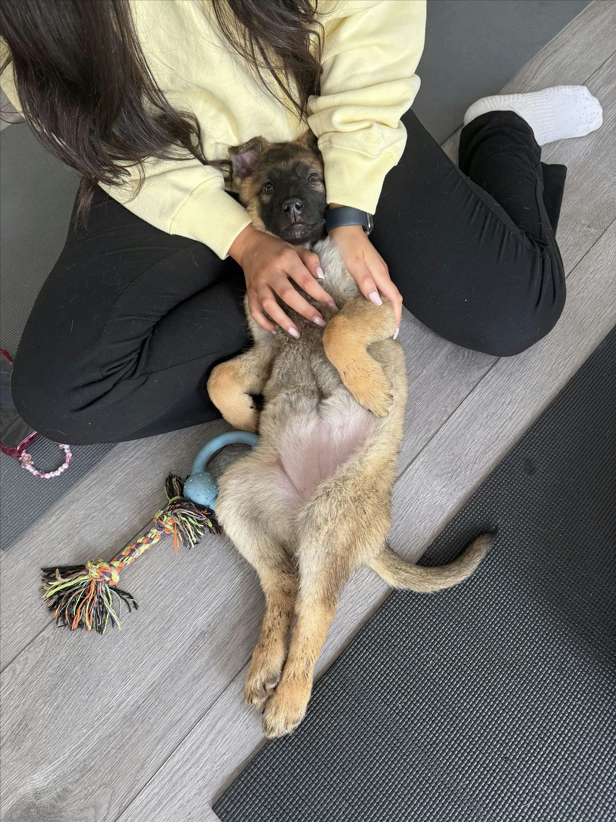 PUPPY YOGA  CHRISTMAS SPECIAL, 14 December | Event in London | AllEvents