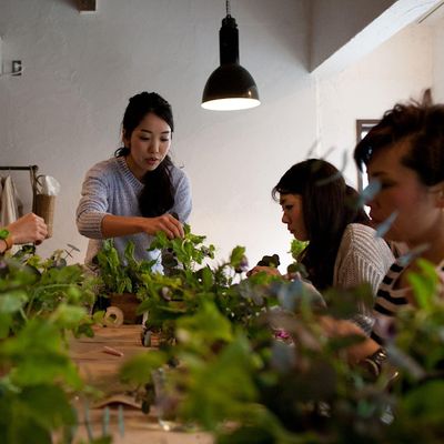 Suiryu floral design logo