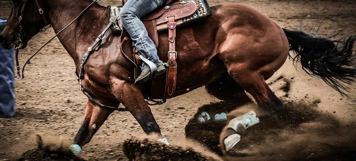 2026 FEI Jumping World Cup Finals - All Sessions (4/8 - 4/12), 8 April | Event in Fort Worth | AllEvents