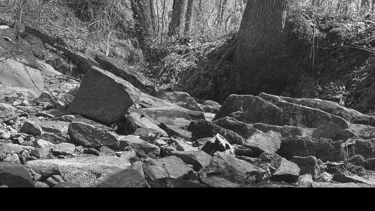 The Avett Brothers, Mike Patton in San Diego, 10 May | Event in San Diego | AllEvents