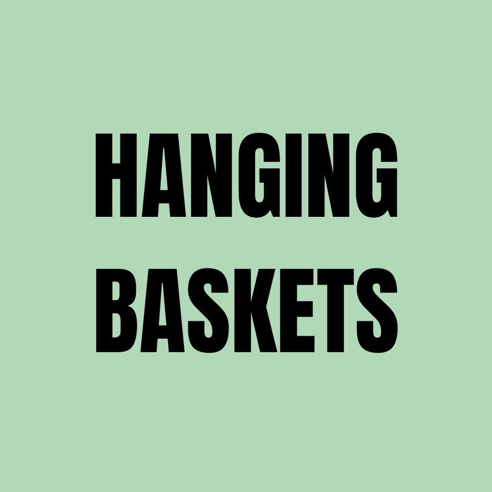 Hanging Basket & Planter Pot Tips & Tricks, Matt Goeden’s Greenhouse