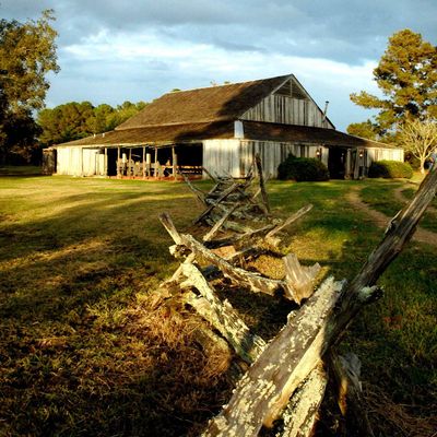 Shakespeare at Winedale logo