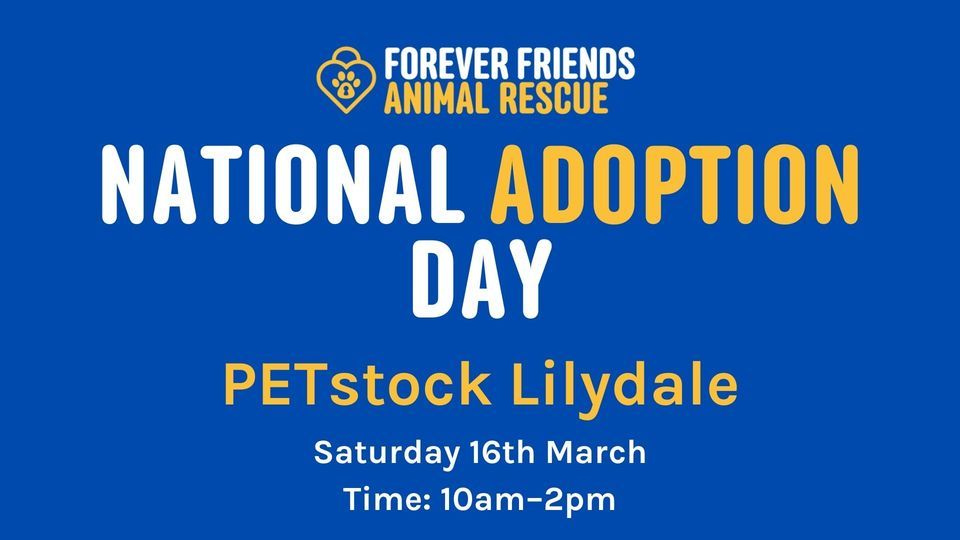 National Adoption Awareness Day 2025, PETstock Lilydale, Wandin North