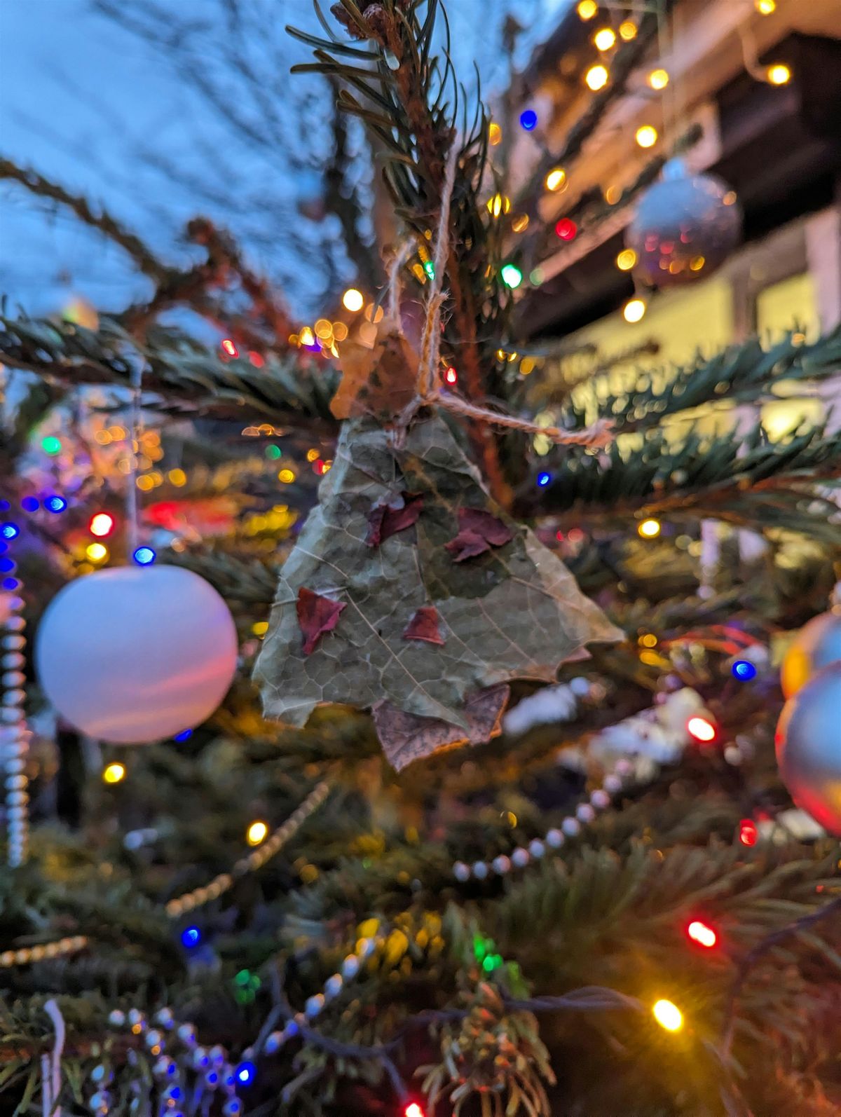 Make Tree Decorations at Alexandra Park, 13 December | Event in Poole | AllEvents