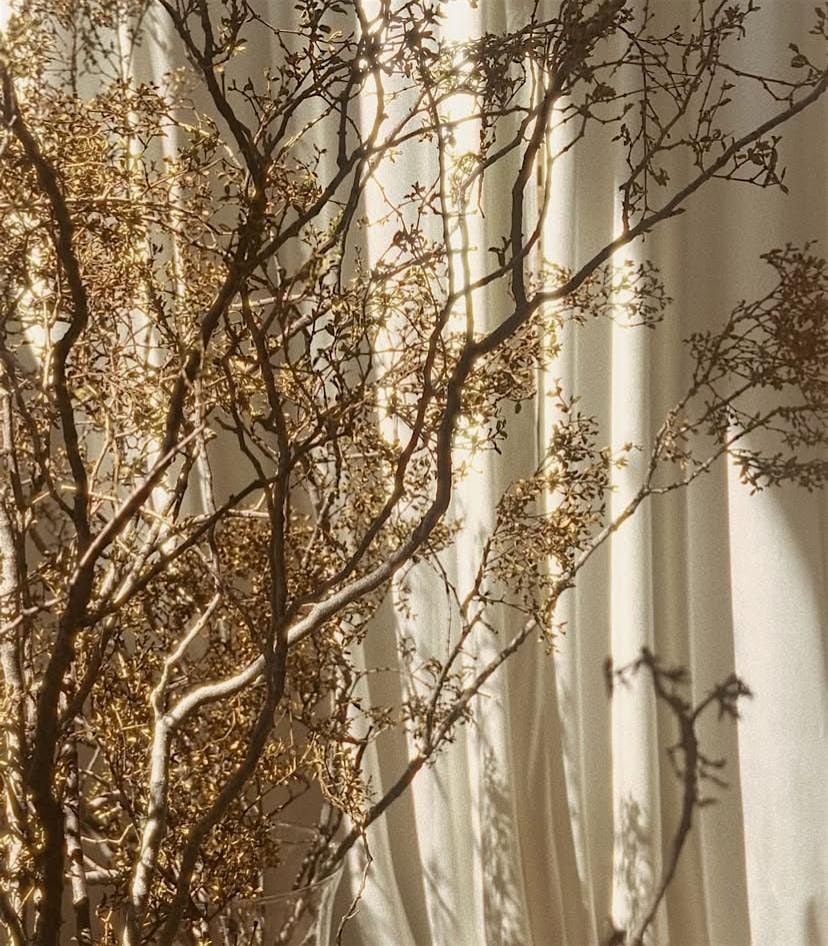 RITUALS ~ A Tea Lounge Pop Up | Event in Phoenix | AllEvents