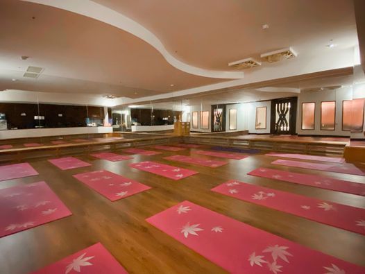 禅柔 搜索结果 哔哩哔哩 Bilibili