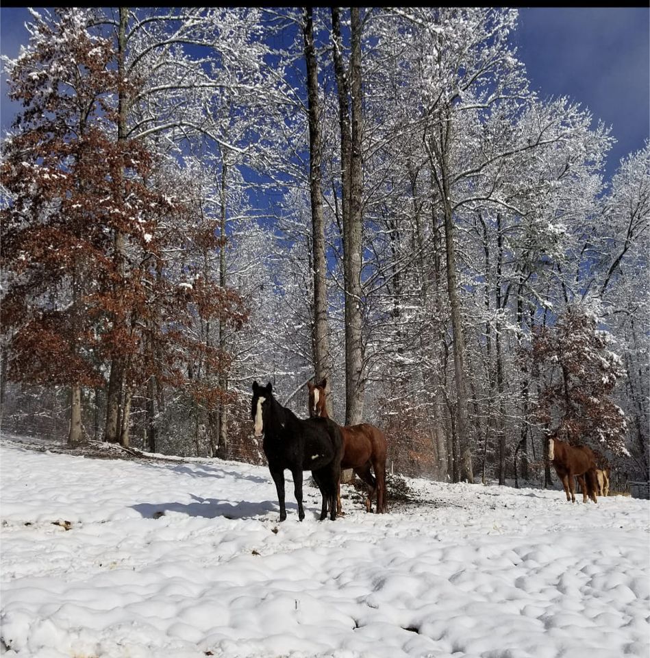 Horse camping AH Stephens State Park , A.H. Stephens State Historic