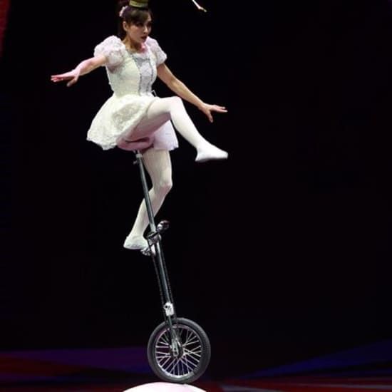 Amazing Acrobats: Grand Shanghai Circus Show in Branson | Event in Point Lookout | AllEvents