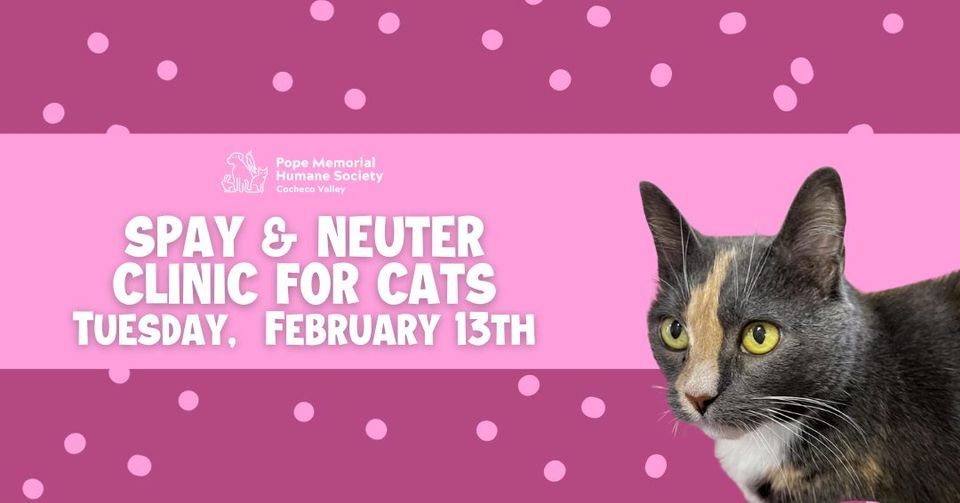 Spay & Neuter Clinic for Cats, 221 County Farm Rd Dover, NH, United