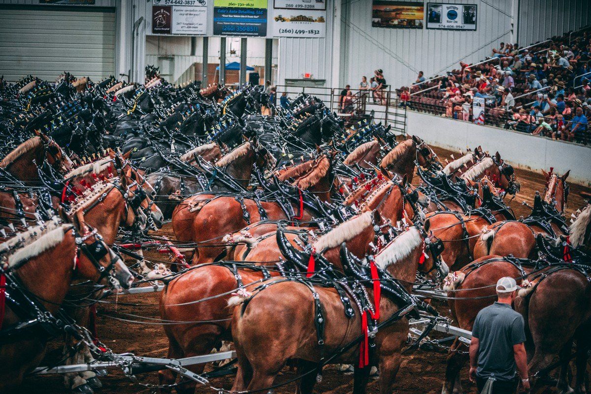 Six Horse Hitch World Finals, 17 September | Event in Shipshewana | AllEvents