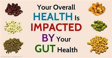 Copy of Gut Health by Kate Ericson CNP from Mary Wubben ...