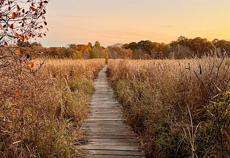 Cutler Park Boardwalk Restoration - SE Mass & GB NEMBA Trail Care Day 12/6, 6 December | Event in Dedham