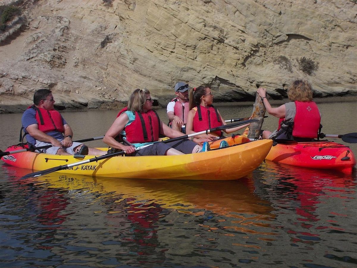 Discover Upper Newport Bay Kayak Tour | Event in Newport Beach | AllEvents