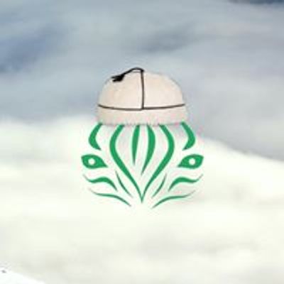 Green Zebra • მწვანე ზებრა