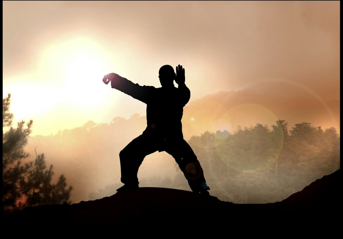 Seasonal alignment : Qigong and somatic principles, 15 December | Event in Vienna | AllEvents