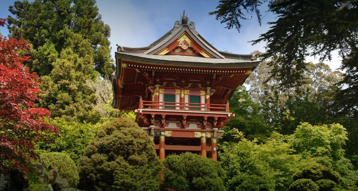 Parking Japanese Breakfast (21+), 25 August | Event in Petaluma | AllEvents