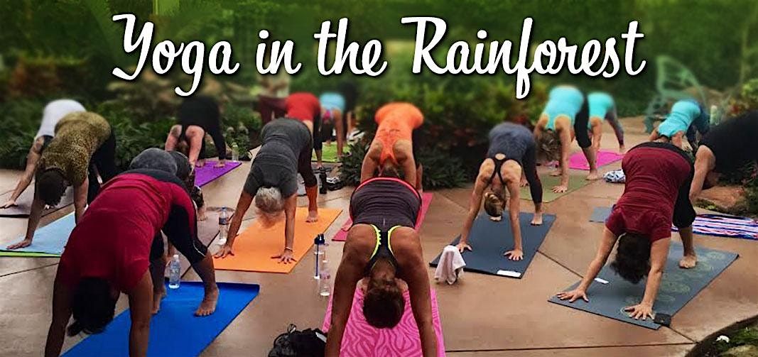 Yoga @ Butterfly Wonderland | Event in Scottsdale | AllEvents
