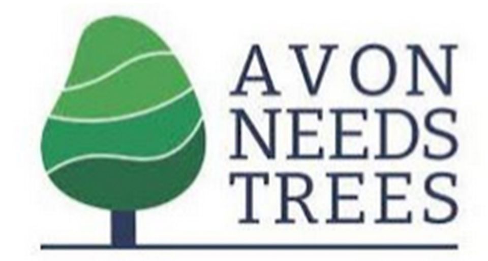 Tree Planting Work Day, Bristol, UK, February 26 2023 AllEvents.in